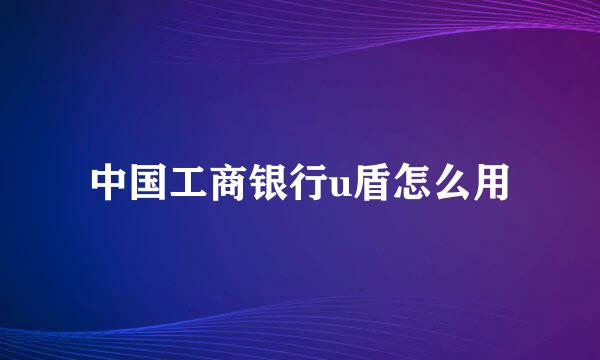 中国工商银行u盾怎么用