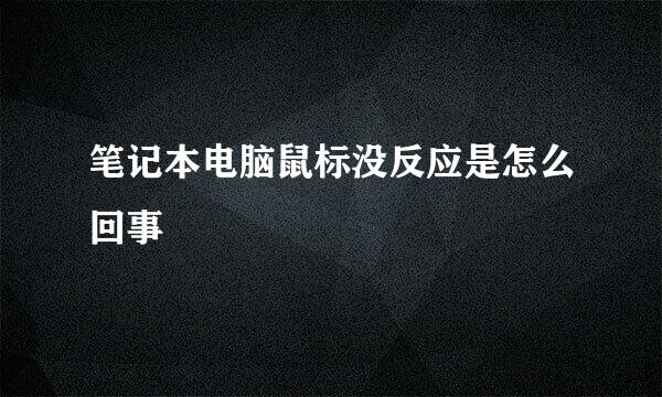 笔记本电脑鼠标没反应是怎么回事