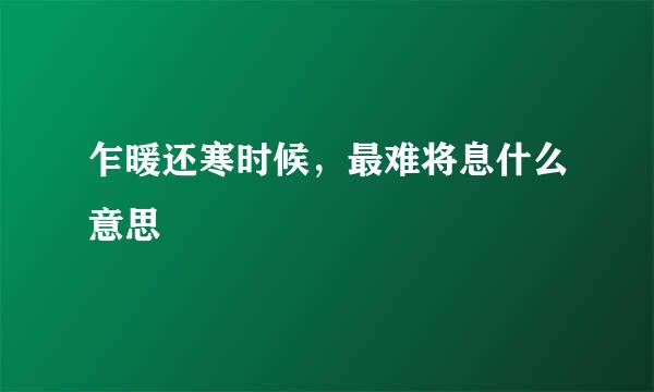 乍暖还寒时候，最难将息什么意思