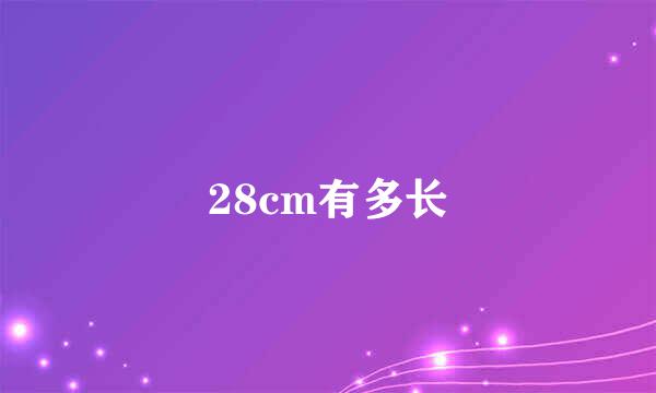 28cm有多长