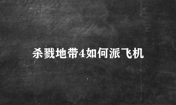 杀戮地带4如何派飞机