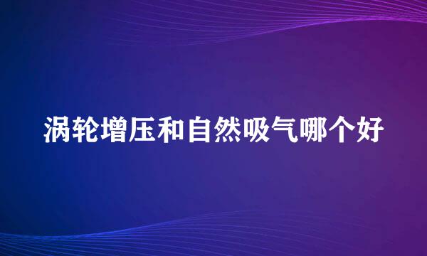 涡轮增压和自然吸气哪个好