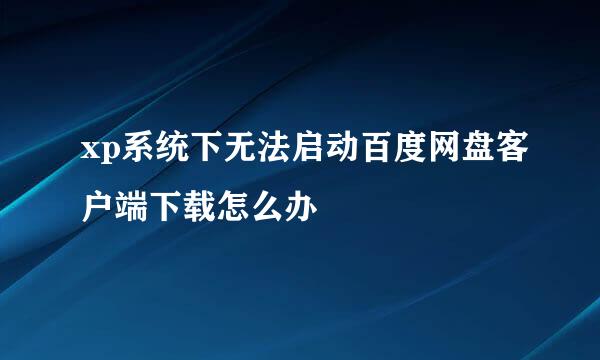 xp系统下无法启动百度网盘客户端下载怎么办