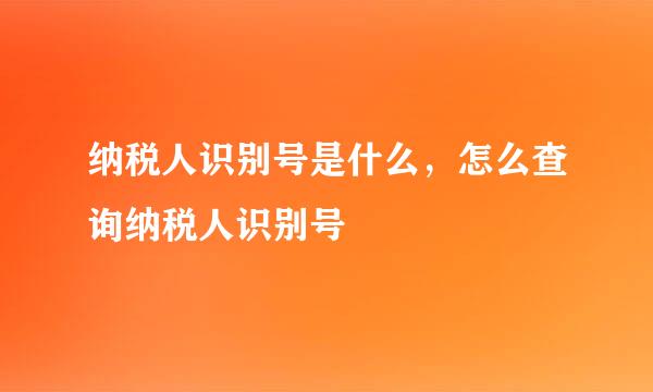 纳税人识别号是什么，怎么查询纳税人识别号