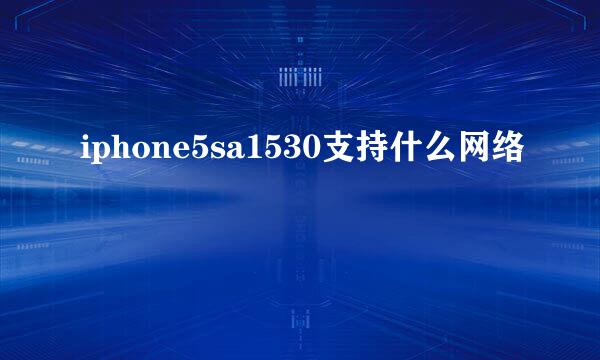 iphone5sa1530支持什么网络