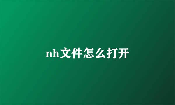 nh文件怎么打开