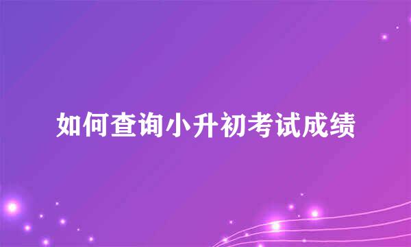 如何查询小升初考试成绩