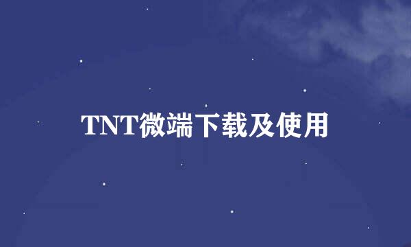 TNT微端下载及使用