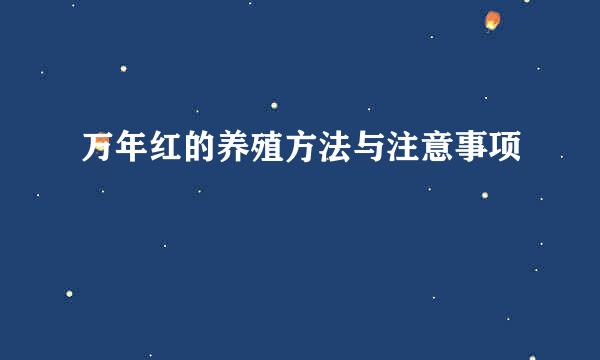 万年红的养殖方法与注意事项