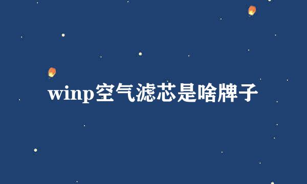 winp空气滤芯是啥牌子