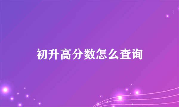 初升高分数怎么查询