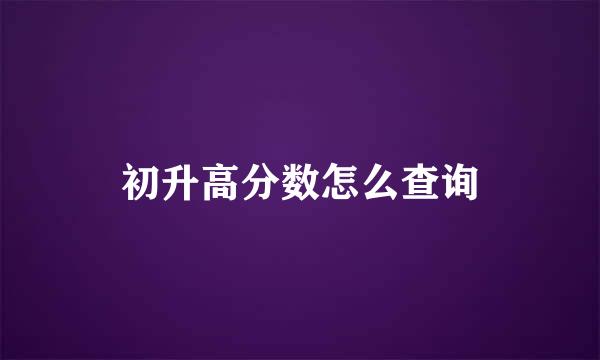 初升高分数怎么查询