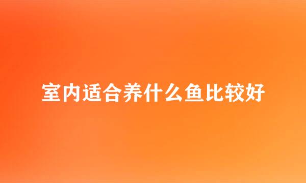 室内适合养什么鱼比较好