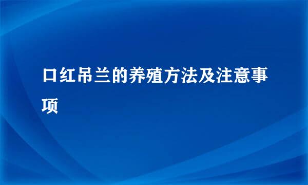 口红吊兰的养殖方法及注意事项