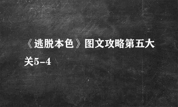 《逃脱本色》图文攻略第五大关5-4