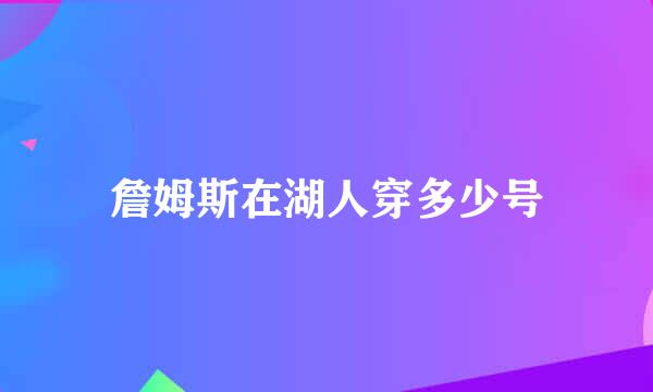 詹姆斯在湖人穿多少号