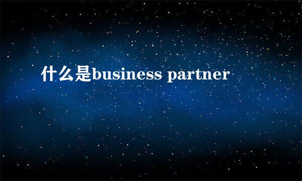 什么是business partner