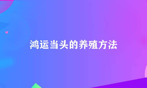 鸿运当头的养殖方法