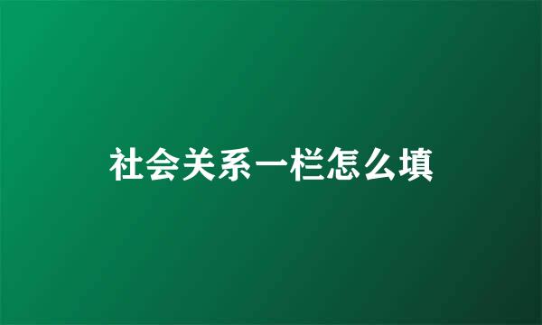 社会关系一栏怎么填