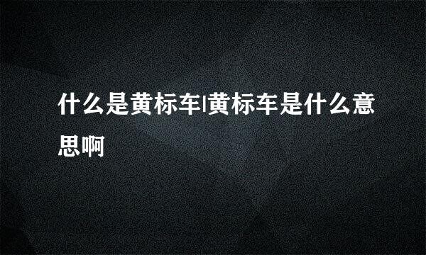 什么是黄标车|黄标车是什么意思啊