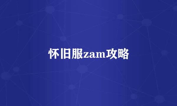 怀旧服zam攻略