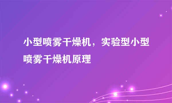 小型喷雾干燥机，实验型小型喷雾干燥机原理