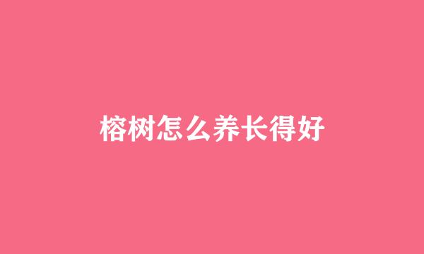 榕树怎么养长得好