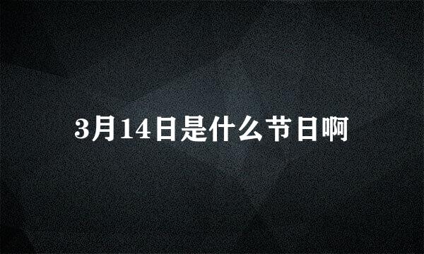 3月14日是什么节日啊