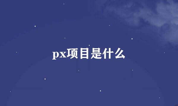 px项目是什么