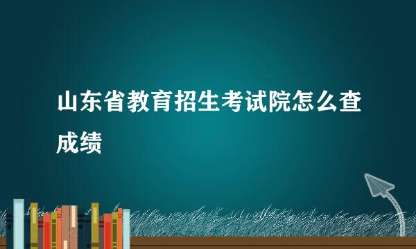 山东省教育招生考试院怎么查成绩