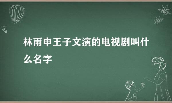 林雨申王子文演的电视剧叫什么名字