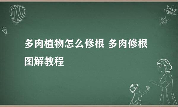 多肉植物怎么修根 多肉修根图解教程