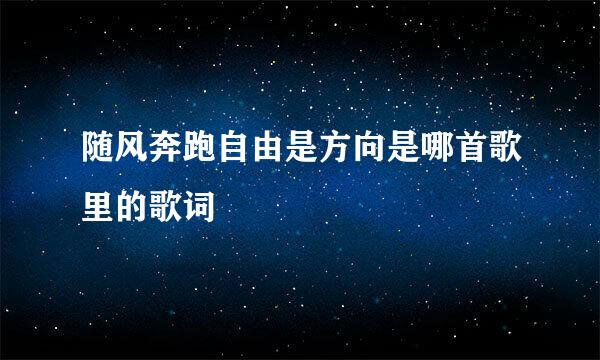 随风奔跑自由是方向是哪首歌里的歌词