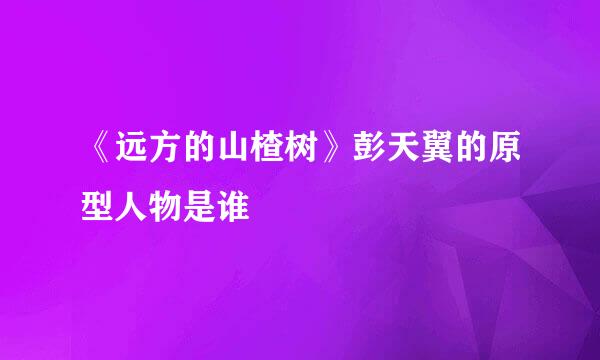 《远方的山楂树》彭天翼的原型人物是谁