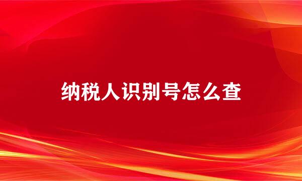 纳税人识别号怎么查