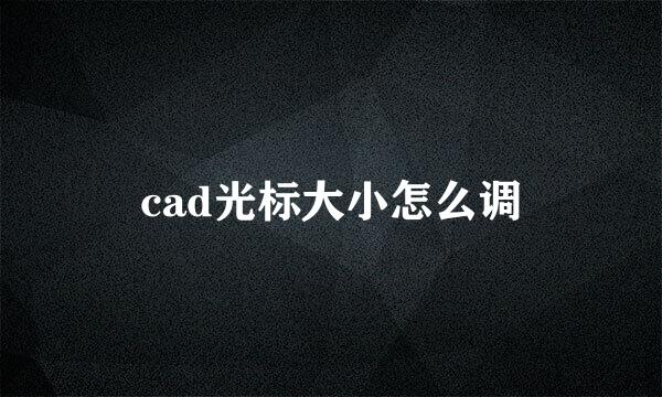 cad光标大小怎么调