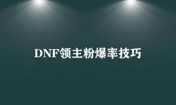 DNF领主粉爆率技巧