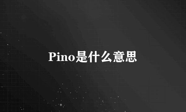 Pino是什么意思