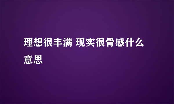 理想很丰满 现实很骨感什么意思