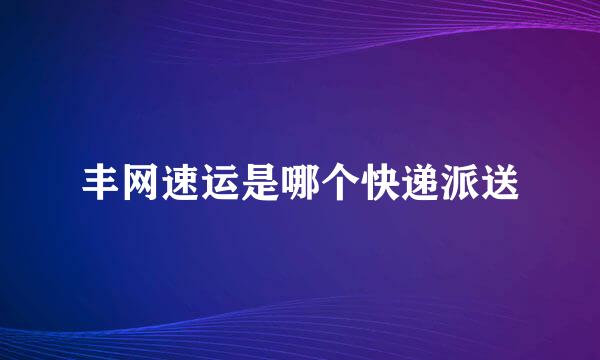 丰网速运是哪个快递派送