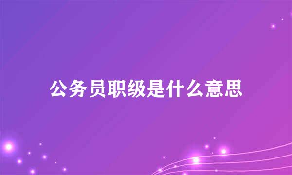 公务员职级是什么意思