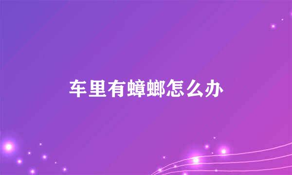 车里有蟑螂怎么办