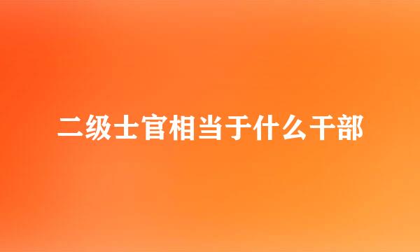 二级士官相当于什么干部