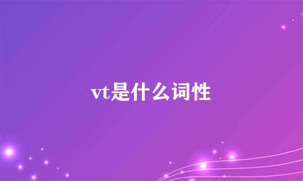 vt是什么词性