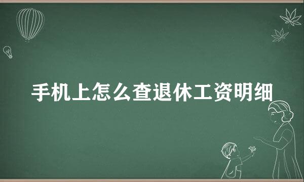 手机上怎么查退休工资明细