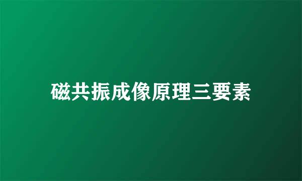 磁共振成像原理三要素