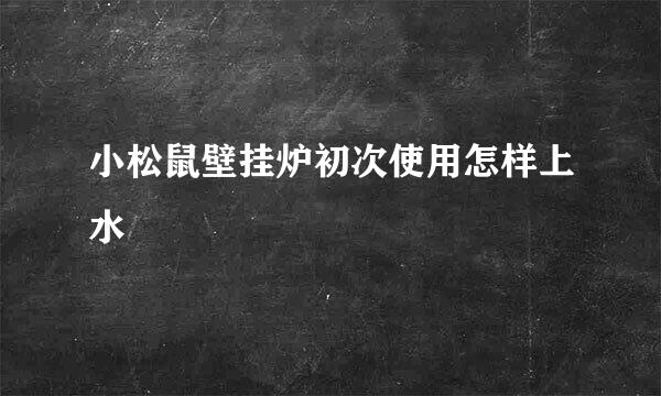 小松鼠壁挂炉初次使用怎样上水