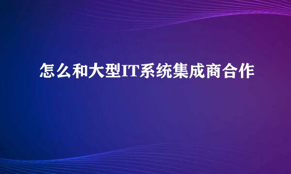 怎么和大型IT系统集成商合作