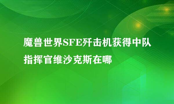 魔兽世界SFE歼击机获得中队指挥官维沙克斯在哪