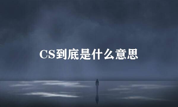 CS到底是什么意思